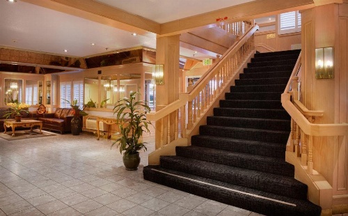 Arena Hotel image 4